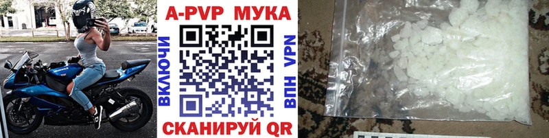 APVP СК  Фрязино 