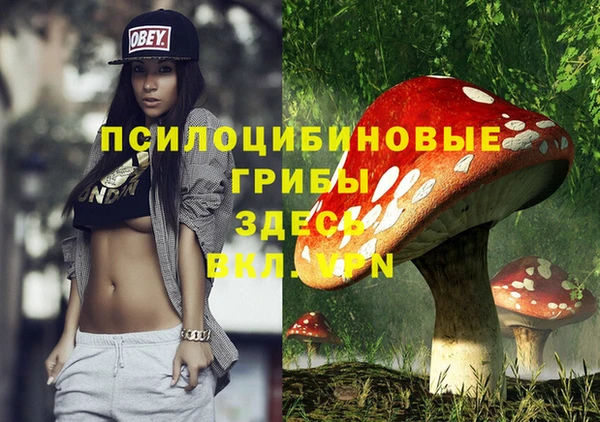 крисы Алексин