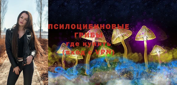 спиды Алексеевка