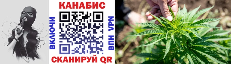 Бошки Шишки сатива Фрязино